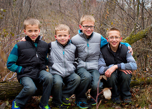 2013-Budde-60