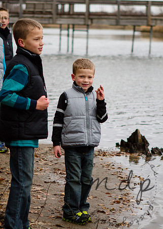 2013-Budde-173