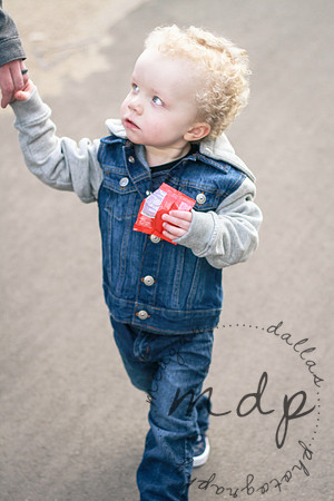 WYATT-3