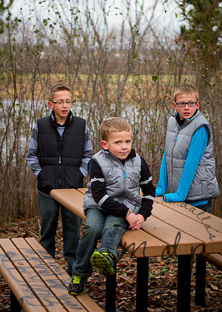 2013-Budde-44