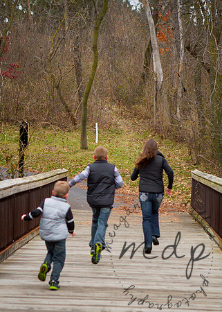 2013-Budde-43