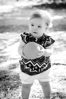NORA_2015-16