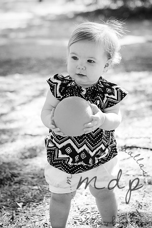NORA_2015-16