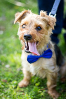 josh.tiela-esession-4