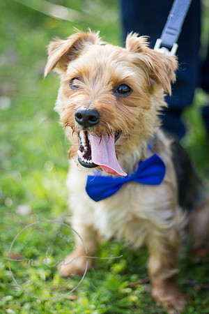 josh.tiela-esession-4