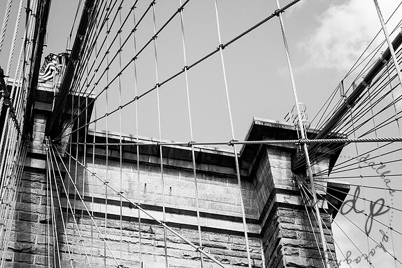 nyc-11