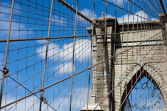 nyc-8