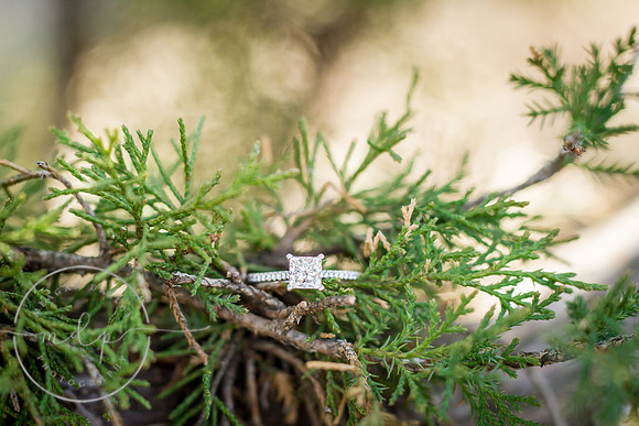 Lynsay+Robert.engaged-121
