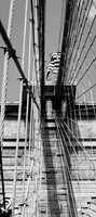 nyc-10