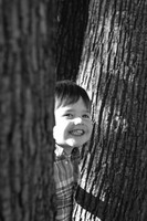 EVERETT_2014-16