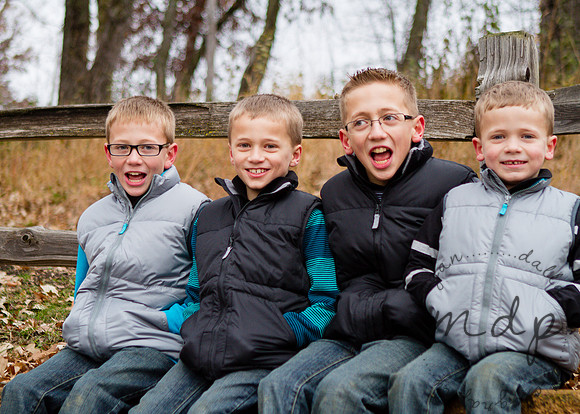 2013-Budde-212