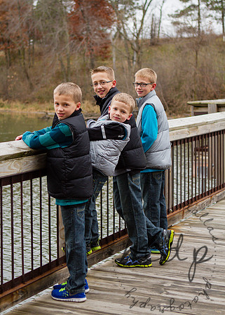 2013-Budde-208