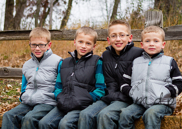 2013-Budde-210